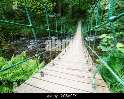 Hängebrücke über den Fluss Lynher, Stara Woodland, Cornwall, Großbritannien Stockfoto