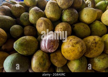 Frische Pomelo-Melone zum Verkauf Stockfoto