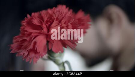 Eine Nahaufnahme einer roten Blume mit einem küssenden Paar auf einem verschwommenen Hintergrund Stockfoto