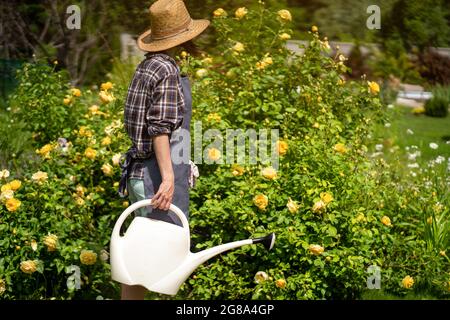 Ein Gärtner in einem Strohhut mit Schürze hält eine Gießkanne für Blumen. Stockfoto