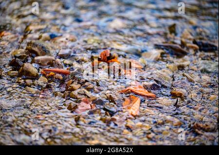 Der Boden ist mit Frühlingsfrost bedeckt, der Boden erwacht nach dem Winter, rissiger Boden und Frühlingsmorgen. Neu Stockfoto