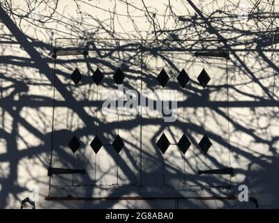 Schatten der Baumzweige auf der weißen Holztür Stockfoto
