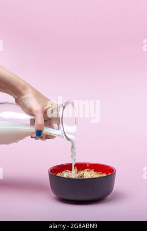 Müsli kochen. Eine Frau gießt Milch aus einem Krug in eine Untertasse mit Müsli-Flocken. Rosa Hintergrund mit Platz zum Einfügen von Text Stockfoto