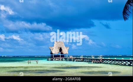 Ein idyllischer Blick auf ein Dock und einen Palapa, umgeben vom kristallklaren, türkisfarbenen Wasser der Karibik auf Ambergris caye, Belize. Stockfoto