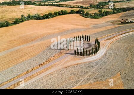 Die berühmten Zypressen von San Quirico d'Orcia, UNESCO-Weltkulturerbe. Sie liegen auf einem Hügel und repräsentieren eine naturalistische toskanische Landschaft Stockfoto