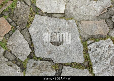 Camino de Santiago (Jakobsweg). Traditionelles bronzefarbenes Richtungszeichen des Camino de Santiago auf dem gepflasterten Gehsteig in Santiago de Compostela in Galicien, Spanien. Die Jakobsmuschel, auch bekannt als die Jakobsmuschel, ist auf dem Schild als traditionelles Symbol der Wallfahrt nach Santiago de Compostela dargestellt. Stockfoto