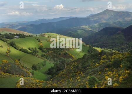 Camino de Santiago (Jakobsweg). Hochland in der Nähe der Grenze zwischen León und Galizien in Spanien. Die französische Route des Camino de Santiago führt durch diese malerische Landschaft kurz bevor sie das galizische Dorf El Cebrero erreicht. Stockfoto