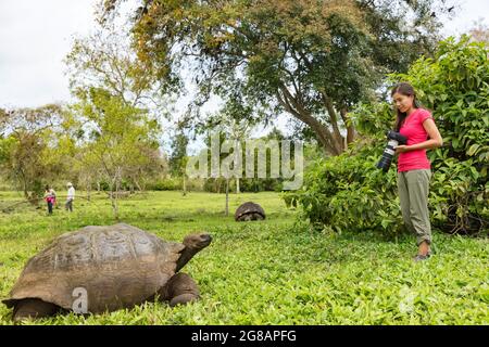 Fotograf Tourist und Galapagos Riesenschildkröte auf der Insel Santa Cruz auf den Galapagos Inseln. Tiere, Natur und Tierwelt Foto von Schildkröte in der Stockfoto