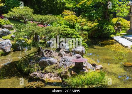 Sonniger Blick auf den Japanischen Teegarten im Golden Gate Park in Kalifornien Stockfoto