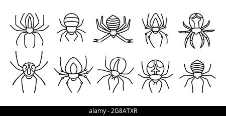 Spinne Halloween-Doodle-Set. Gruselige gruselige Spinnen gefährliche Tarantel Cartoon-Sammlung. Gruselige Deko für Horror-Design. Party Halloween giftige Spinne oder gefährliche Arachnid. Vektor Stock Vektor