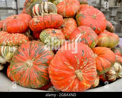 Turks Turban Squash in einem bunten Hügel auf einem lokalen farmstand. Stockfoto