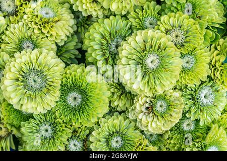 Produkte und Blumen auf dem Bauernmarkt Stockfoto