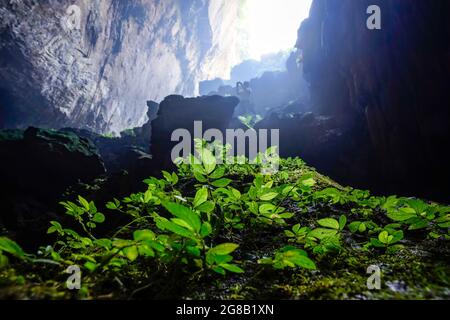 Schöne Höhle mit Licht im MOC Chau Bezirk Nordvietnam Stockfoto