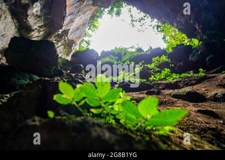 Schöne Höhle mit Licht im MOC Chau Bezirk Nordvietnam Stockfoto