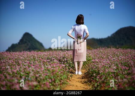 Bunte Blüte im MOC Chau Bezirk Nordvietnam Stockfoto