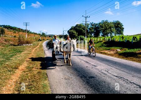 Bauern auf Pferd und Wagen, und Fahrradfahrer, auf Landstraße, Santa Clara, Kuba Stockfoto