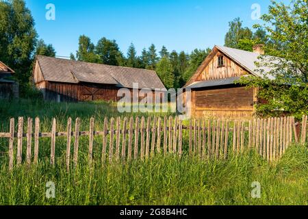 Zwei alte, hölzerne Scheunen, die zwischen grünen Bäumen auf einer Wiese liegen. Wald im Hintergrund. Krasnobród, Roztocze, Polen. Stockfoto