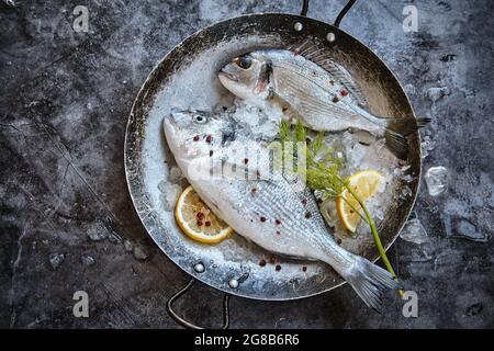 Zwei frische, gesunde, ungekochte Dorade auf Eis in einer Wok- oder Vintage-Pfanne mit Pfefferkörnern, einem Zweig aus aromatischem Dill und Zitronenscheiben in einer Overhe Stockfoto