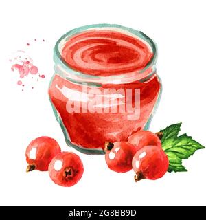 Bio-Obstmarmelade. Glas aus schwarzer Johannisbeermarmelade und frischen roten Johannisbeerbeeren mit grünem Blatt. Aquarell handgezeichnete Illustration isoliert auf w Stockfoto