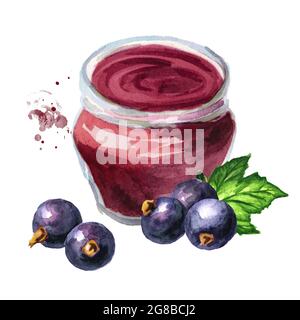 Bio-Obstmarmelade. Glas aus schwarzer Johannisbeermarmelade und frischen schwarzen Johannisbeerbeeren mit grünem Blatt. Aquarell handgezeichnete Illustration isoliert auf Stockfoto