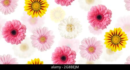 Blumen nahtlos Muster. Bunte Gänseblümchen Gerbera Blüten isoliert auf weiß. Flache Hintergrundtextur Stockfoto