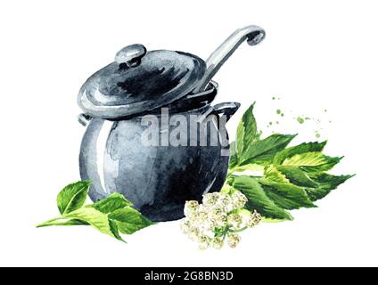 Grüne Aegopodium podagraria oder gemahlene ältere vegetarische Suppe, Aquarell handgezeichnet, isoliert auf weißem Hintergrund Stockfoto