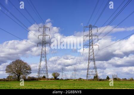 2 Reihen von Strommasten und Deckenkabeln in der Nähe von Cirencester, die sich in die Ferne erstrecken. Sie stellen eine große Eiche, die darunter wächst, in den Schatten. Stockfoto