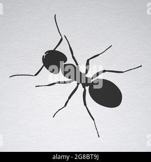 ANT schwarze Silhouette isoliert auf weißem Hintergrund - detaillierte Darstellung einer Ameise Stockfoto