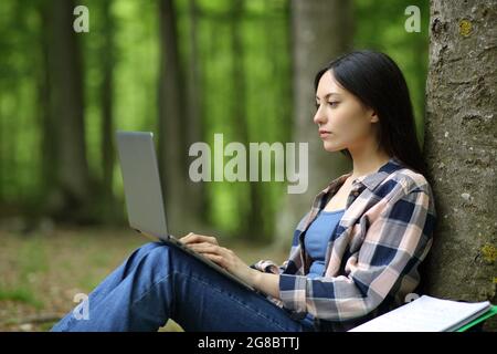 Konzentriertes asiatisches E-Learning mit Laptop in einem Wald Stockfoto