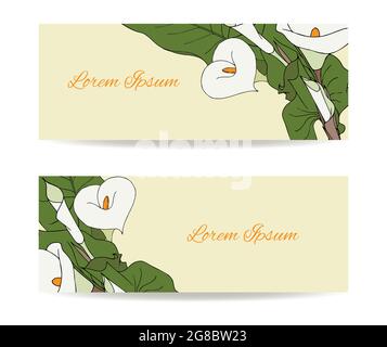 Calla Blumen Set Postkarte Gutschein Banner Hintergrund für Design, für Glückwünsche, Einladungen, Platz für eine Inschrift, Handzeichnung. Vektorgrafik Stock Vektor