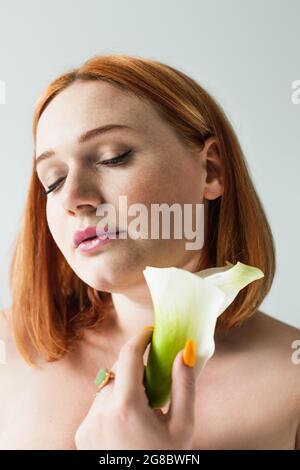 Rotschopf Körper positive Frau hält Calla Lilie isoliert auf grau Stockfoto