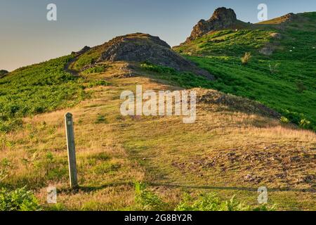 Der Weg hinauf zum Gaer Stone auf Hope Bowdler Hill, Church Stretton, Shropshire Stockfoto