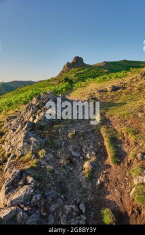 Der Weg hinauf zum Gaer Stone auf Hope Bowdler Hill, Church Stretton, Shropshire Stockfoto