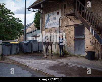 Saint Contest, Frankreich, Normandie, Juli 2021. Waschen eines schönen grauen Pferdes durch einen Hausmeister Stockfoto