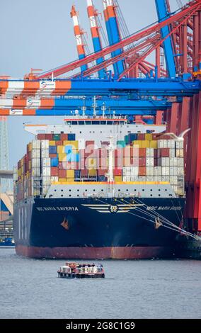 Hamburg, Deutschland - Containerschiffe im Hamburger Hafen wird das Containerschiff MSC Maria Saveria der Reederei MSC an dem Container vertäut Stockfoto