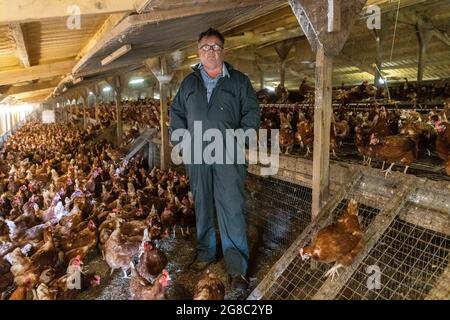 Der Eierbauer Douglas Wanstall, der auf seinem Bauernhof in Kent tätig ist, hat gegen Fridays Klage erhoben und behauptet, er sei für einen Salmonellenausbruch auf seinen Farmen verantwortlich Stockfoto