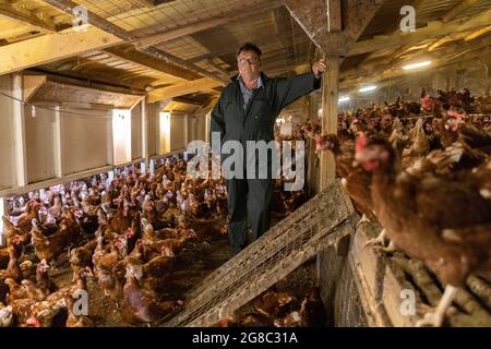 Der Eierbauer Douglas Wanstall, der auf seinem Bauernhof in Kent tätig ist, hat gegen Fridays Klage erhoben und behauptet, er sei für einen Salmonellenausbruch auf seinen Farmen verantwortlich Stockfoto