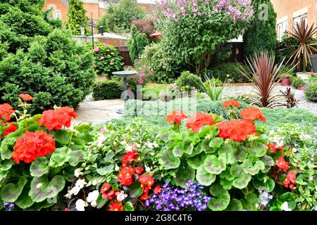 Urban Summer Garden in voller Blüte, Juli 2021 Stockfoto