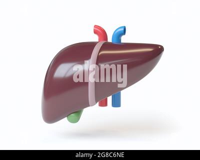 Isometrische 3d-Darstellung einer stilisierten menschlichen Leber mit isolierter Gallenblase auf Weiß. Inspiriert von flachen Designtrends Stockfoto