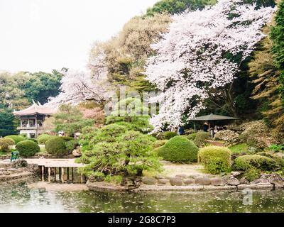 Schöne Aussicht auf Shinjuku Gyoen in Tokio, Japan Stockfoto