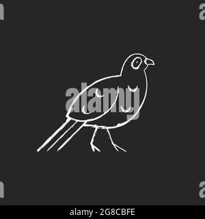 Weiße Vogelkreide-Symbole auf dunklem Hintergrund. Stock Vektor