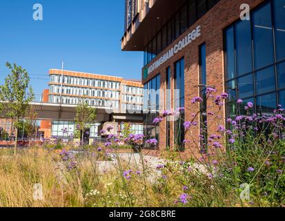 Sommermorgen im neuen Nottingham College City Hub an der Südseite von Nottingham City, Nottinghamshire, England Stockfoto