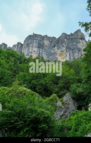Felsen in den Bergen von unten über grüne Bäume aus nächster Nähe. Pietra di Bismantova, Italien. Wandern, Trekking, Camping, Erlebniskonzept Stockfoto