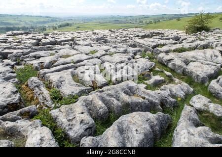 Kalksteinpflaster Malham Cove Yorkshire Dales Stockfoto