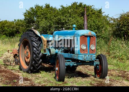 Fordson Super-Major-Traktor, Heudrehen mit altem Traktor, Fordston-Traktor, Fordson Stockfoto