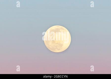 Vollmond am Sonnenuntergang, Nahaufnahme. Rosa und blau, traumhafter Mond. Stockfoto