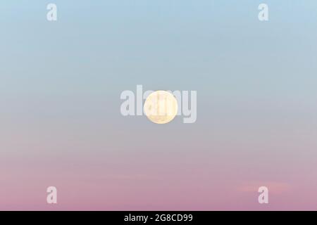 Vollmond am Sonnenuntergang, Nahaufnahme. Rosa und blau, traumhafter Mond. Stockfoto