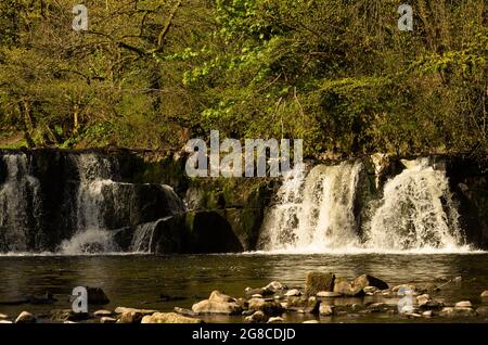 Linn Park Waterfall, Glasgow Stockfoto