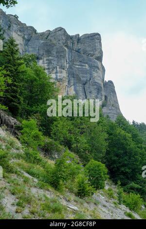 Felsen in den Bergen von unten über grüne Bäume aus nächster Nähe. Pietra di Bismantova, Italien. Wandern, Trekking, Camping, Erlebniskonzept Stockfoto