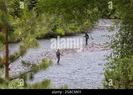 Fox Creek, Colorado - Angeln im Conejos River im Rio Grande National Forest. Stockfoto